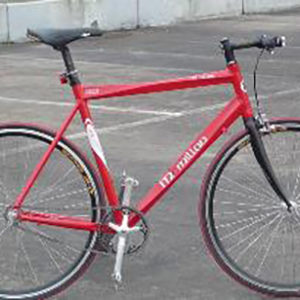 Baan / Singlespeed